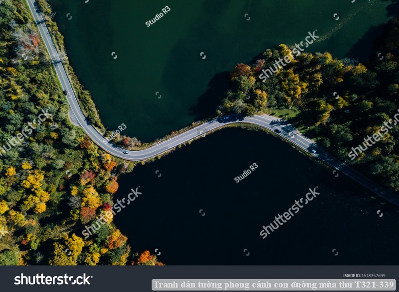 Tranh dán tường phong cảnh con đường mùa thu T321-339